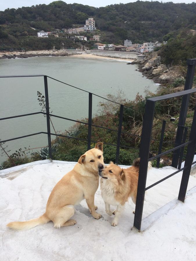 南竿 55据点背包客栈旅舍 外观 照片